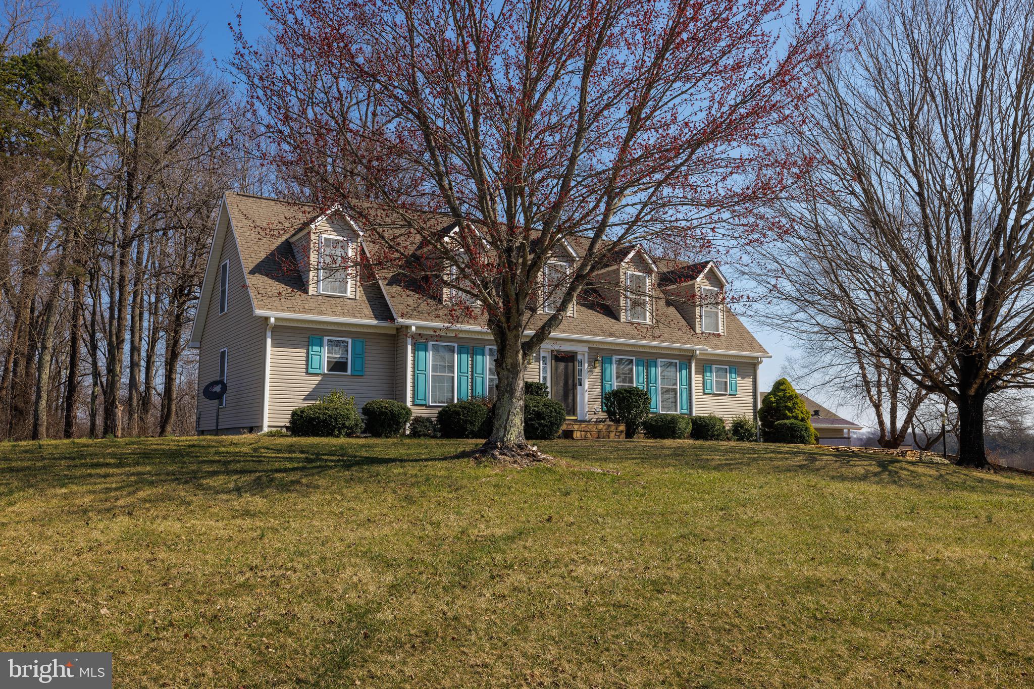 4204 Old Fincastle Road Fincastle, VA 24090 - Photo 4 of 84