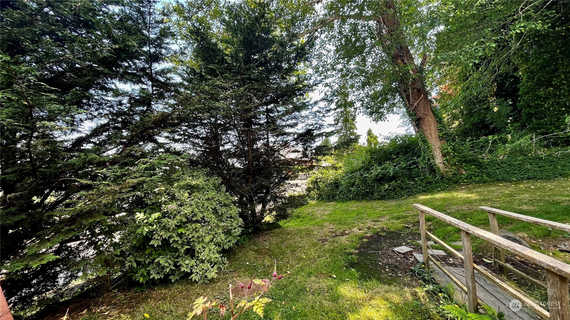 623 2nd Avenue Aberdeen, WA 98520 - Photo 29 of 40 a view of a yard with plants and large trees