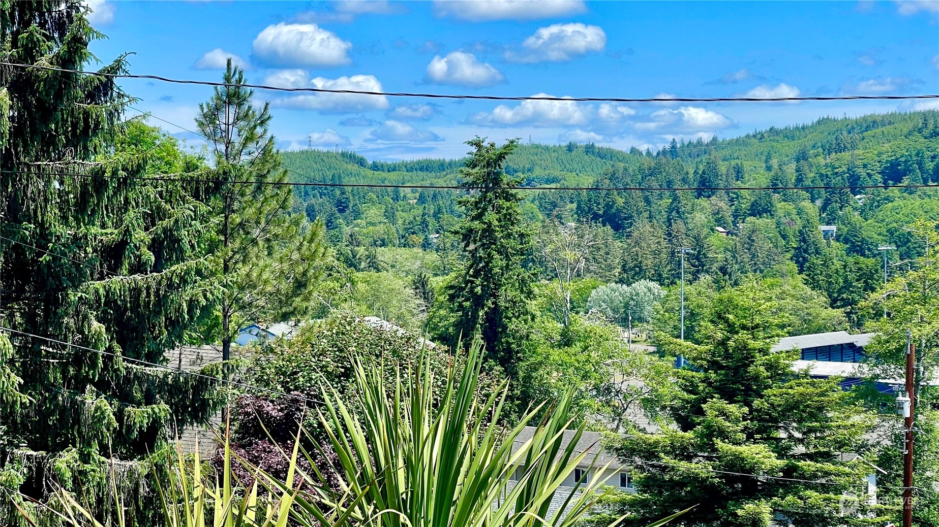 623 2nd Avenue Aberdeen, WA 98520 - Photo 5 of 40 a view of a garden