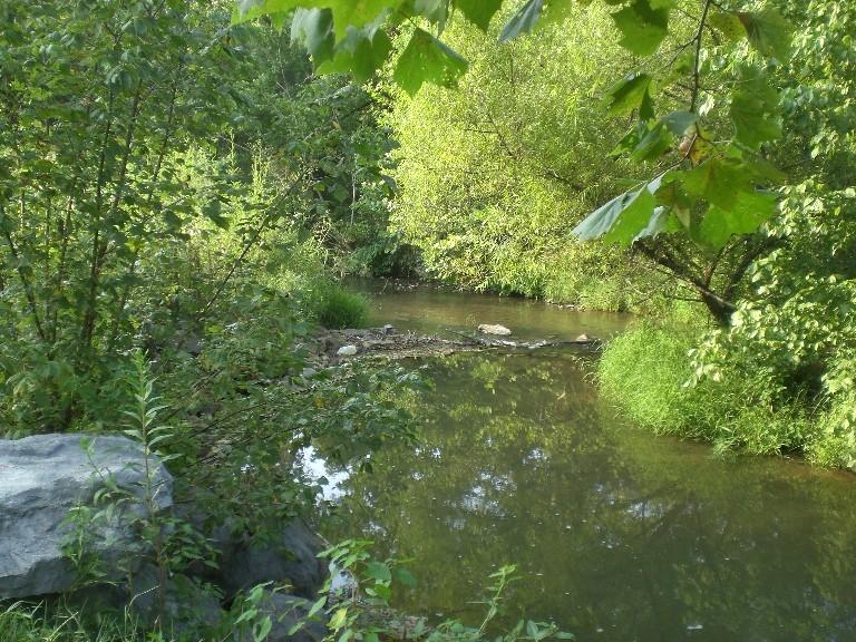 0 Mulberry Gap Road Tazewell, TN 37879 - Photo 22 of 29 CIMG2454