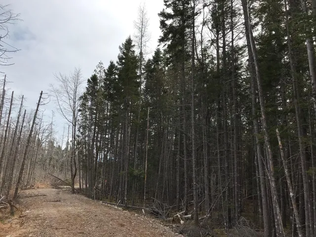 $285,000 | 8 Peninsula Road, Gouldsboro, ME 04624