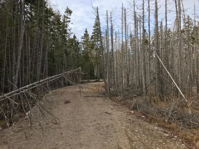 $285,000 | 8 Peninsula Road, Gouldsboro, ME 04624