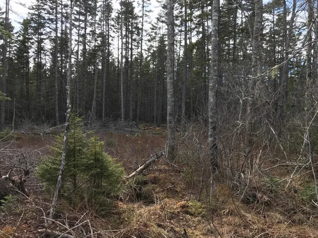 $285,000 | 8 Peninsula Road, Gouldsboro, ME 04624