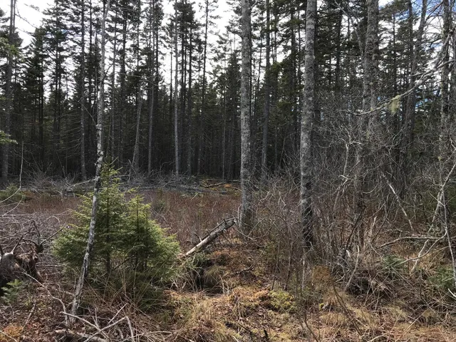 $285,000 | 8 Peninsula Road, Gouldsboro, ME 04624