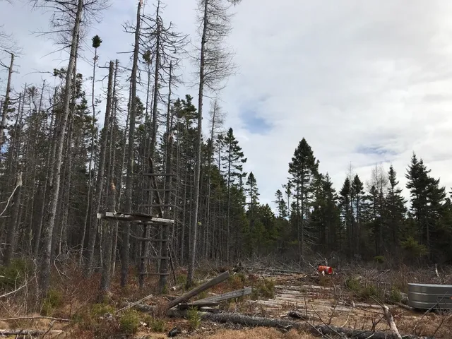 $285,000 | 8 Peninsula Road, Gouldsboro, ME 04624