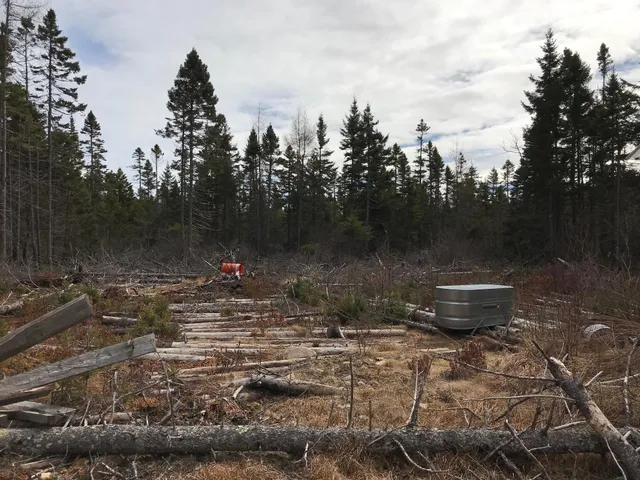 $285,000 | 8 Peninsula Road, Gouldsboro, ME 04624