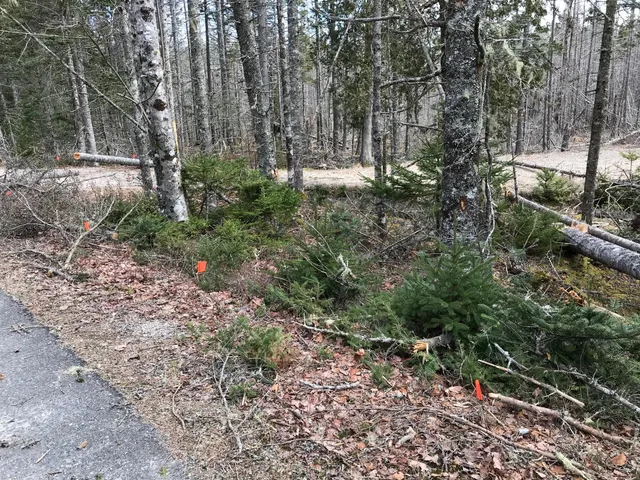 $285,000 | 8 Peninsula Road, Gouldsboro, ME 04624