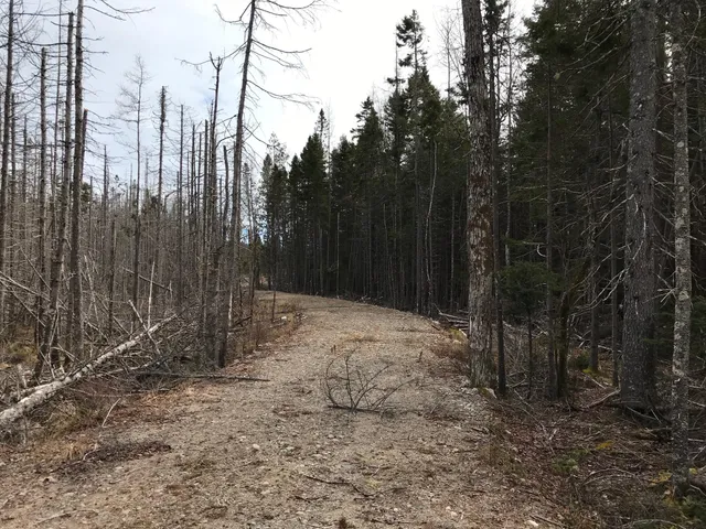 $285,000 | 8 Peninsula Road, Gouldsboro, ME 04624