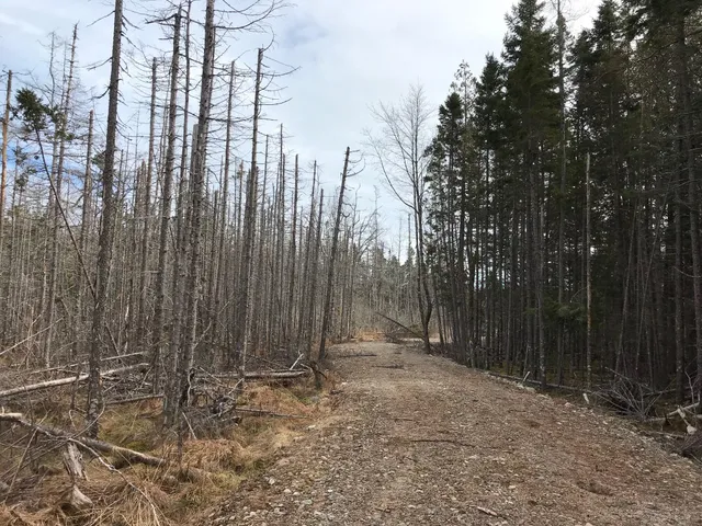 $285,000 | 8 Peninsula Road, Gouldsboro, ME 04624