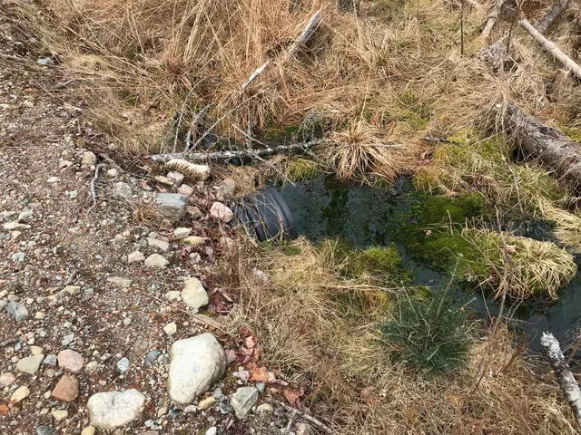 $285,000 | 8 Peninsula Road, Gouldsboro, ME 04624