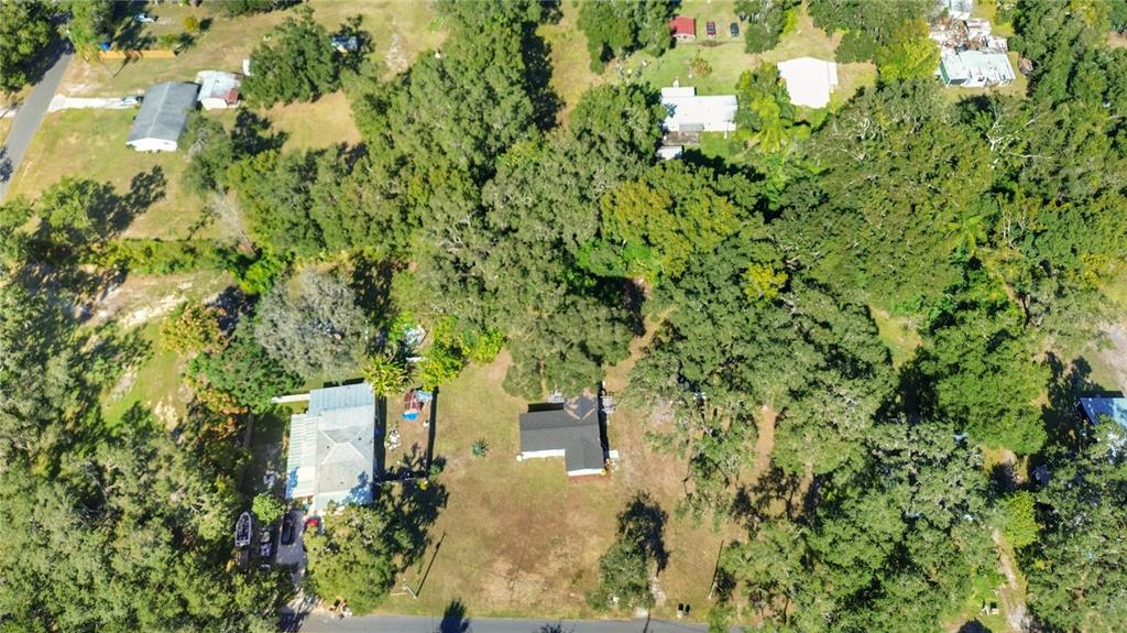 2716 Berdetta Street Leesburg, FL 34748 - Photo 33 of 35 a view of a yard with plants