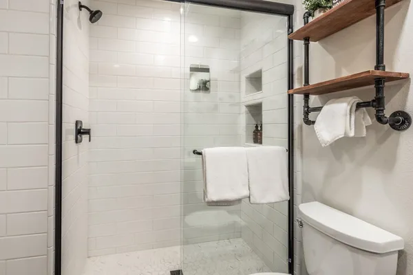 a bathroom with a toilet and a shower