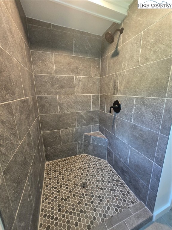 1207 Meat Camp Road Boone, NC 28607 - Photo 10 of 24 a bathroom with a shower