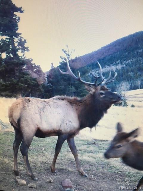 2137 Riccardo Lane Fort Garland, CO 81133 - Photo 3 of 50 a view of a backyard with table and chairs