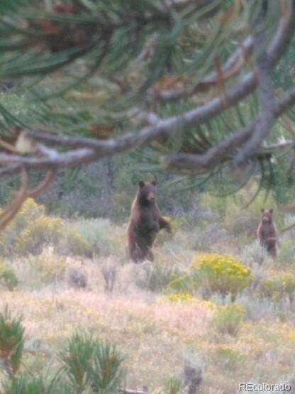 2137 Riccardo Lane Fort Garland, CO 81133 - Photo 47 of 50