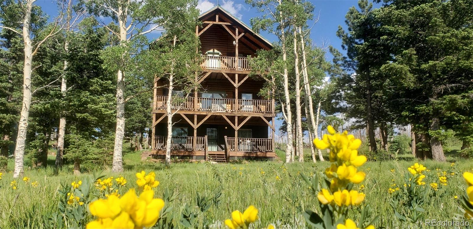 2137 Riccardo Lane Fort Garland, CO 81133 - Photo 50 of 50 an aerial view of a house with swimming pool and porch with furniture