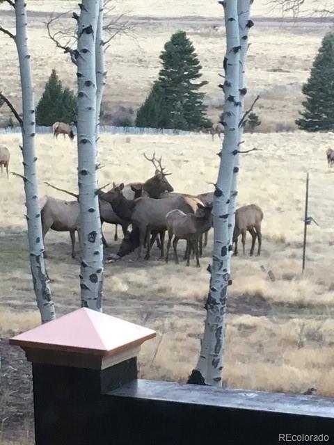 2137 Riccardo Lane Fort Garland, CO 81133 - Photo 7 of 50 a view of a backyard with sitting area