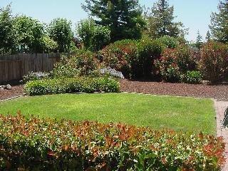 4406 Hedge Court Rohnert Park, CA 94928 - Photo 7 of 8 a view of yard with swimming pool