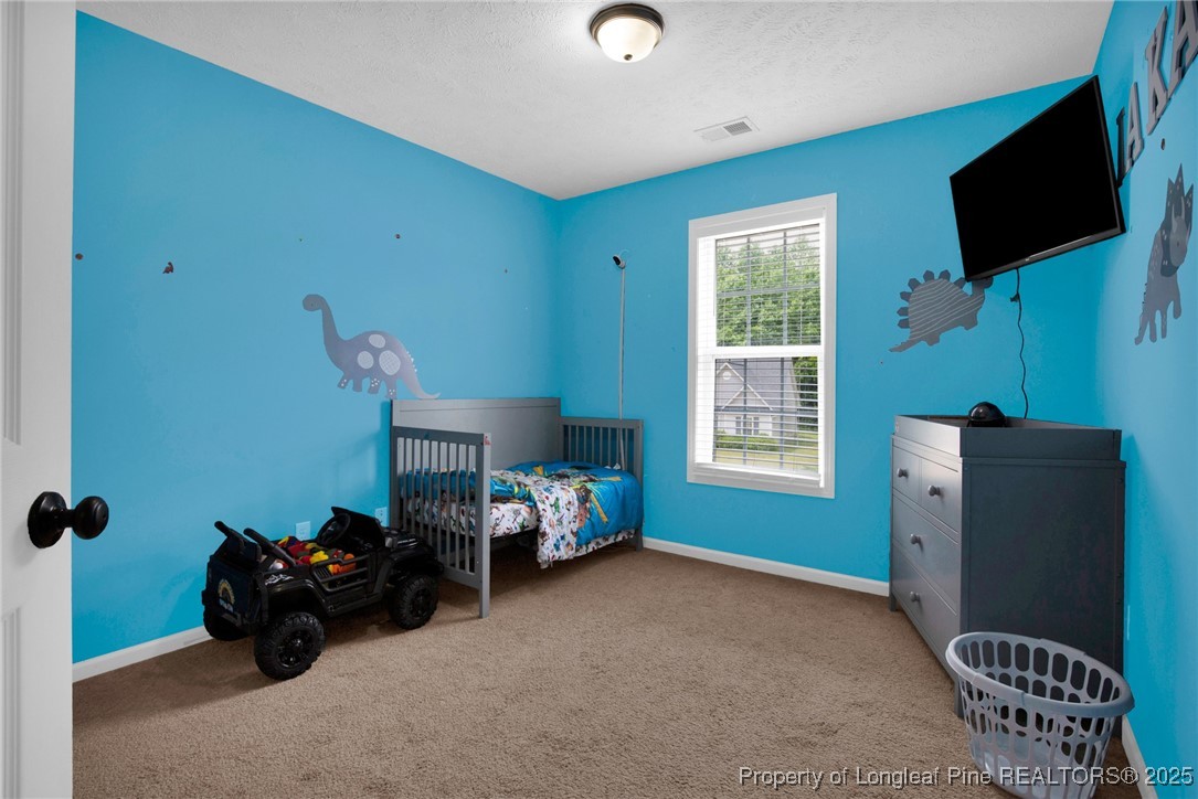 195 Cape Fear Road Raeford, NC 28376 - Photo 20 of 33