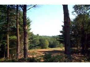 0 Off Pierce Road Fitzwilliam, NH 03447 - Photo 3 of 3