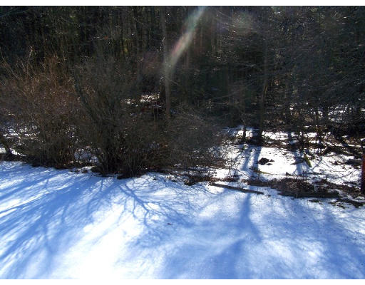 32 Woodcliff Road Holbrook, MA 02343 - Photo 16 of 19 Gallery Image 16