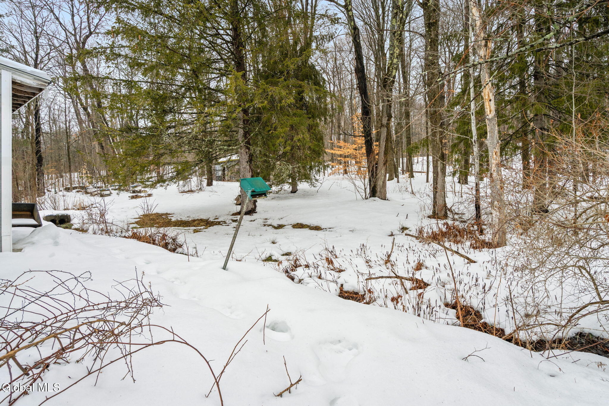 166 Potter Road Glenville, NY 12010 - Photo 30 of 30 23-web-or-mls-166-potter-rd