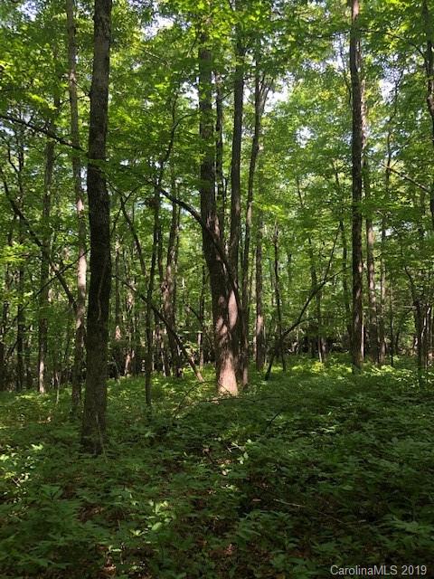 C-30 Frazier Road Brevard, NC 28712 - Photo 2 of 13 Gallery Image 2