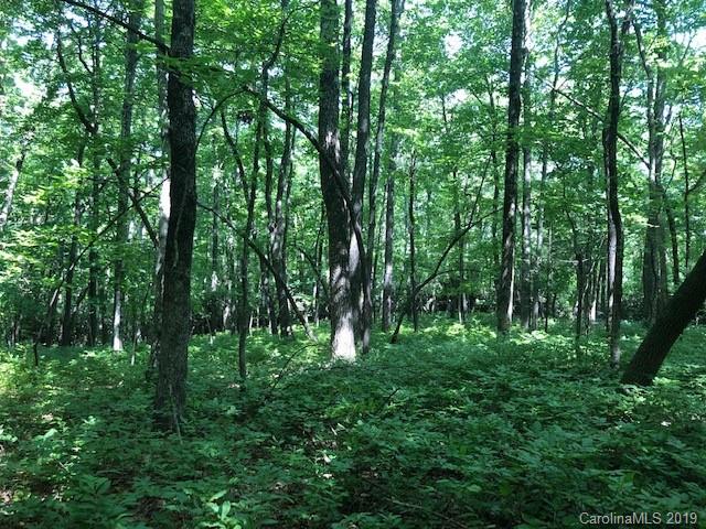 C-30 Frazier Road Brevard, NC 28712 - Photo 3 of 13 Gallery Image 3