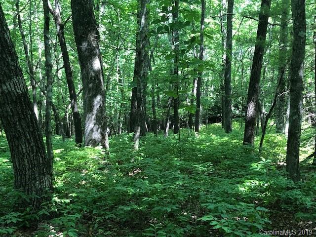 C-30 Frazier Road Brevard, NC 28712 - Photo 5 of 13 Gallery Image 5