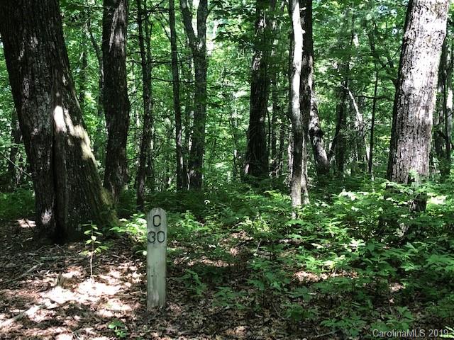 C-30 Frazier Road Brevard, NC 28712 - Photo 6 of 13 Gallery Image 6