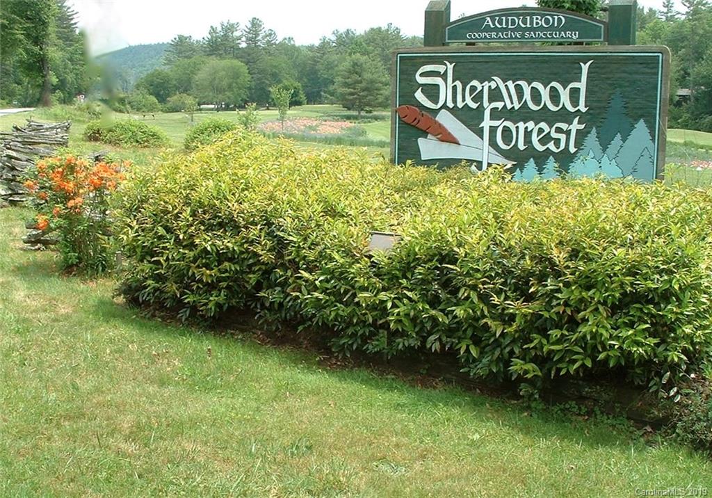 C-30 Frazier Road Brevard, NC 28712 - Photo 10 of 13 Gallery Image 10