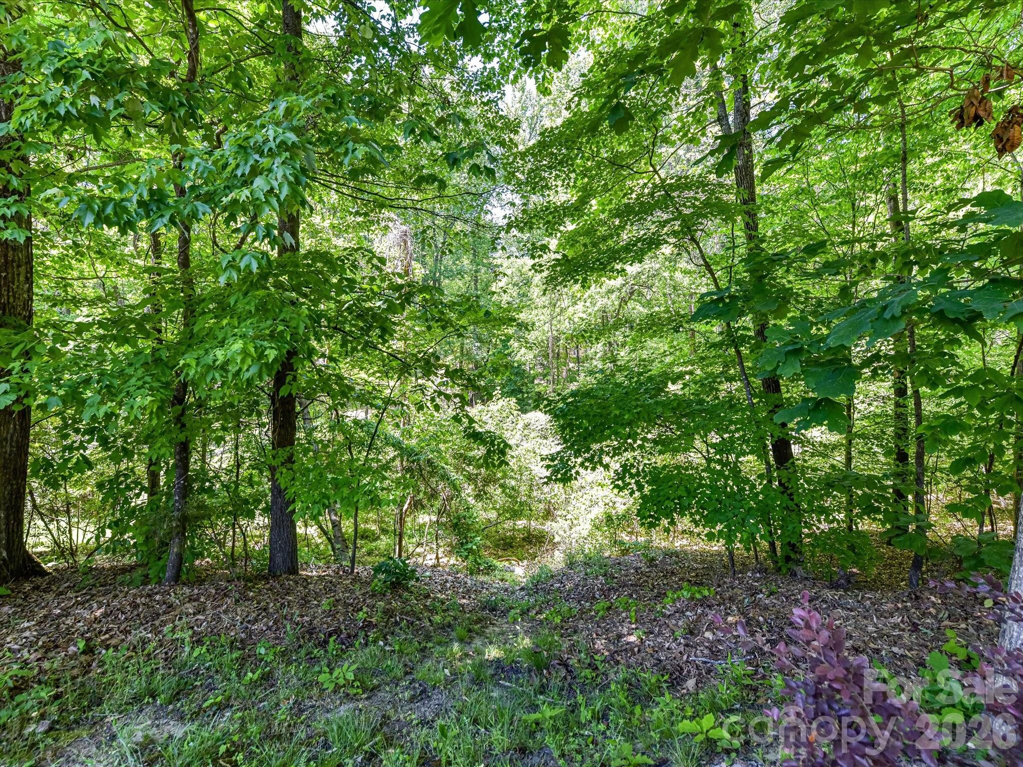 1548 Afton Way Fort Mill, SC 29708 - Photo 37 of 46 Gallery Image 37