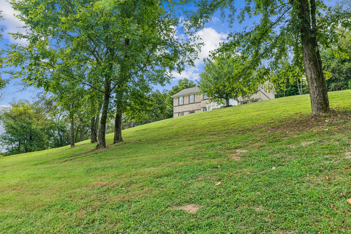 1521 Heller Ridge Spring Hill, TN 37174 - Photo 5 of 36