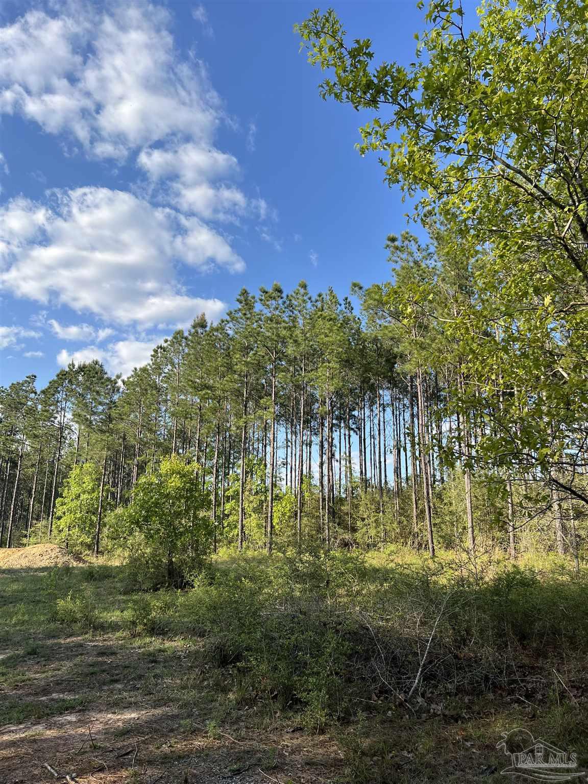0 10 Ten Mile Road Pace, FL 32571 - Photo 11 of 23