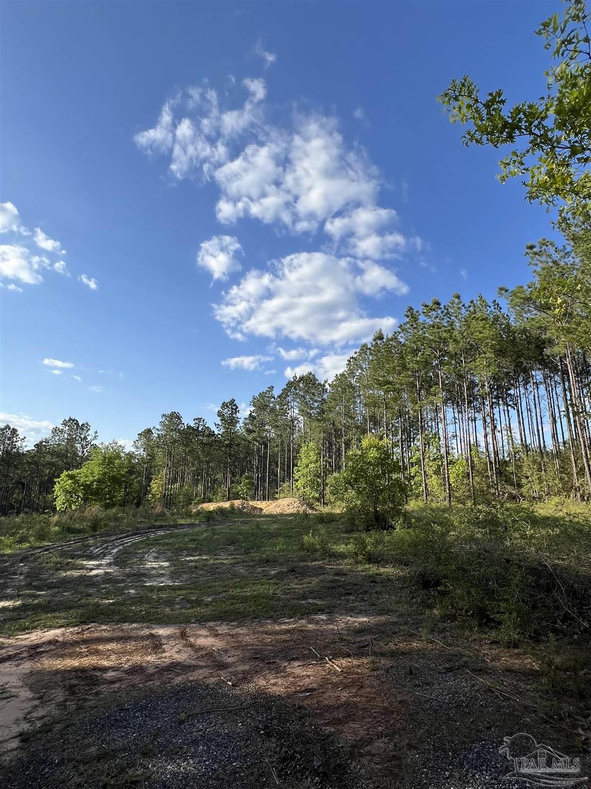 0 10 Ten Mile Road Pace, FL 32571 - Photo 12 of 23