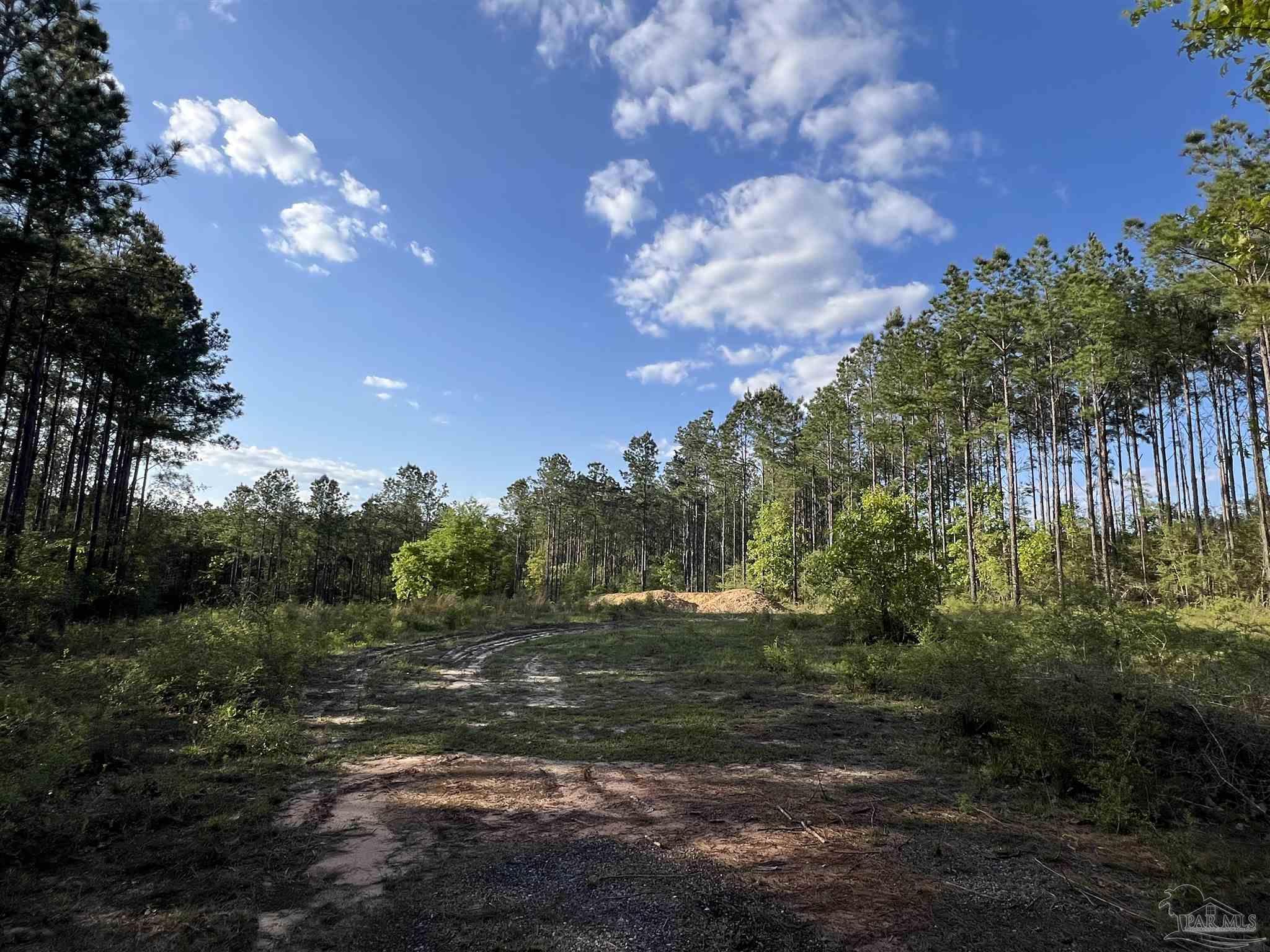0 10 Ten Mile Road Pace, FL 32571 - Photo 13 of 23