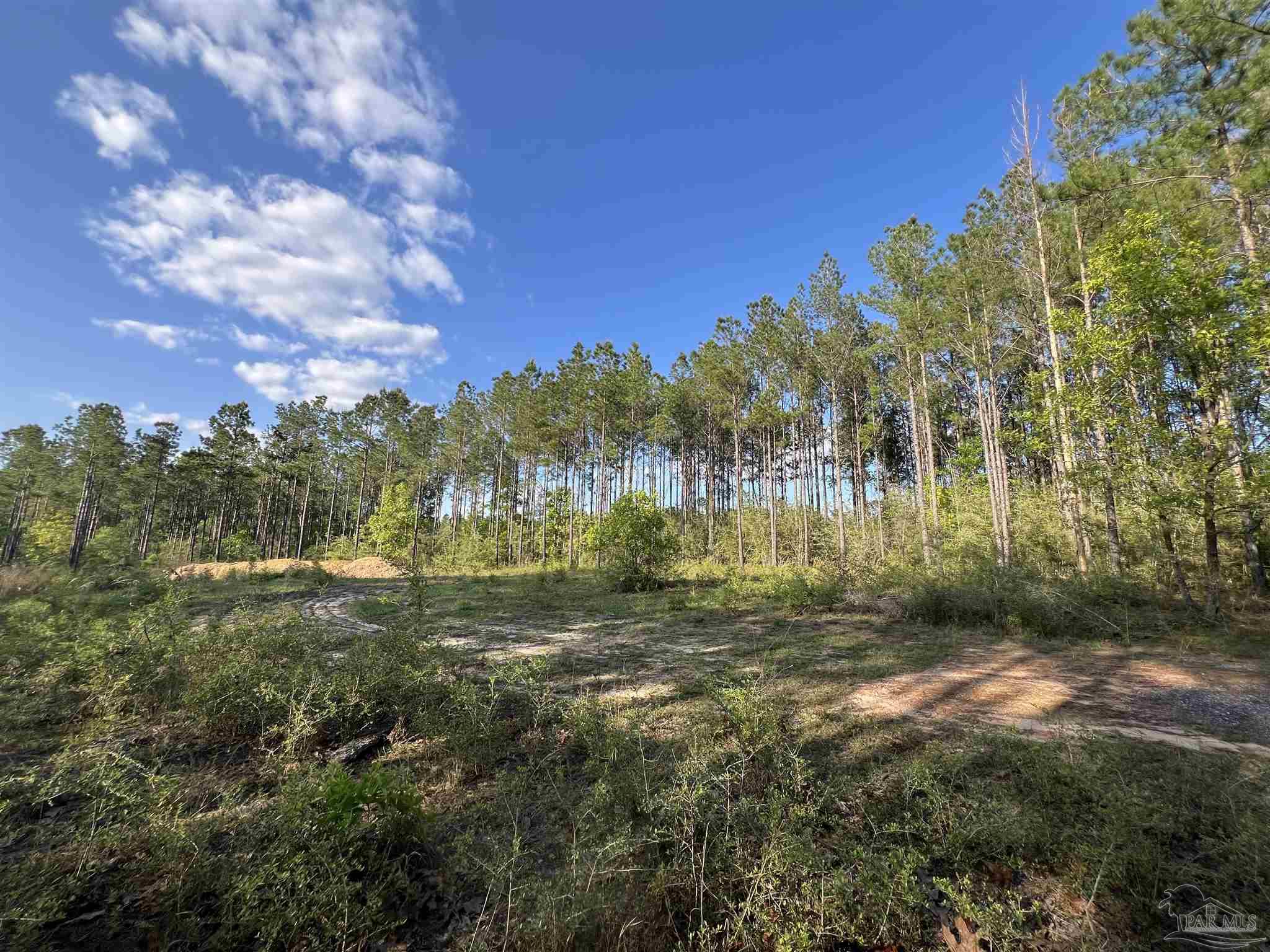 0 10 Ten Mile Road Pace, FL 32571 - Photo 14 of 23