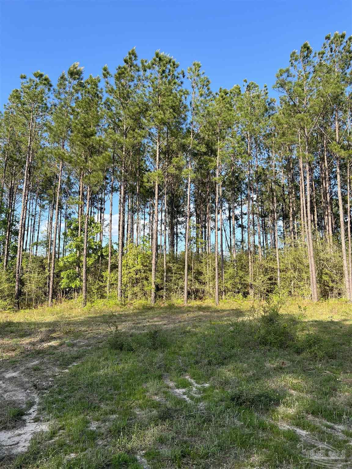 0 10 Ten Mile Road Pace, FL 32571 - Photo 17 of 23