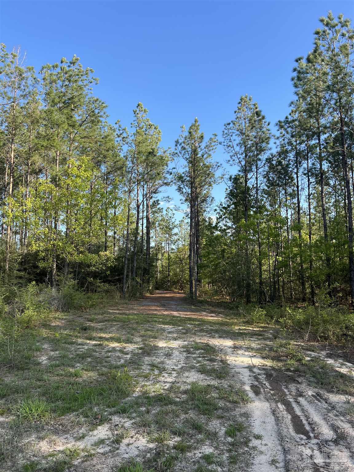 0 10 Ten Mile Road Pace, FL 32571 - Photo 18 of 23