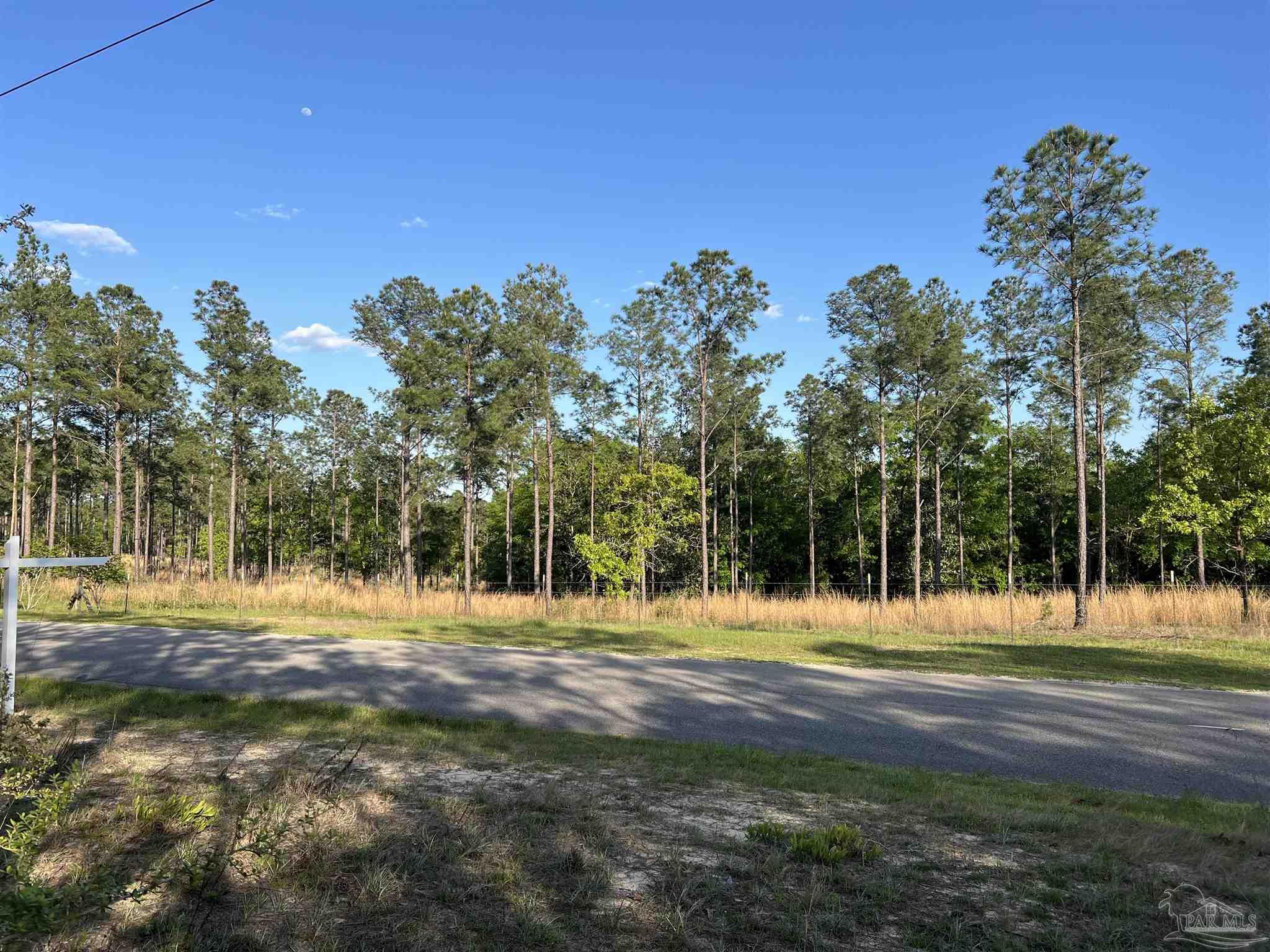 0 10 Ten Mile Road Pace, FL 32571 - Photo 19 of 23