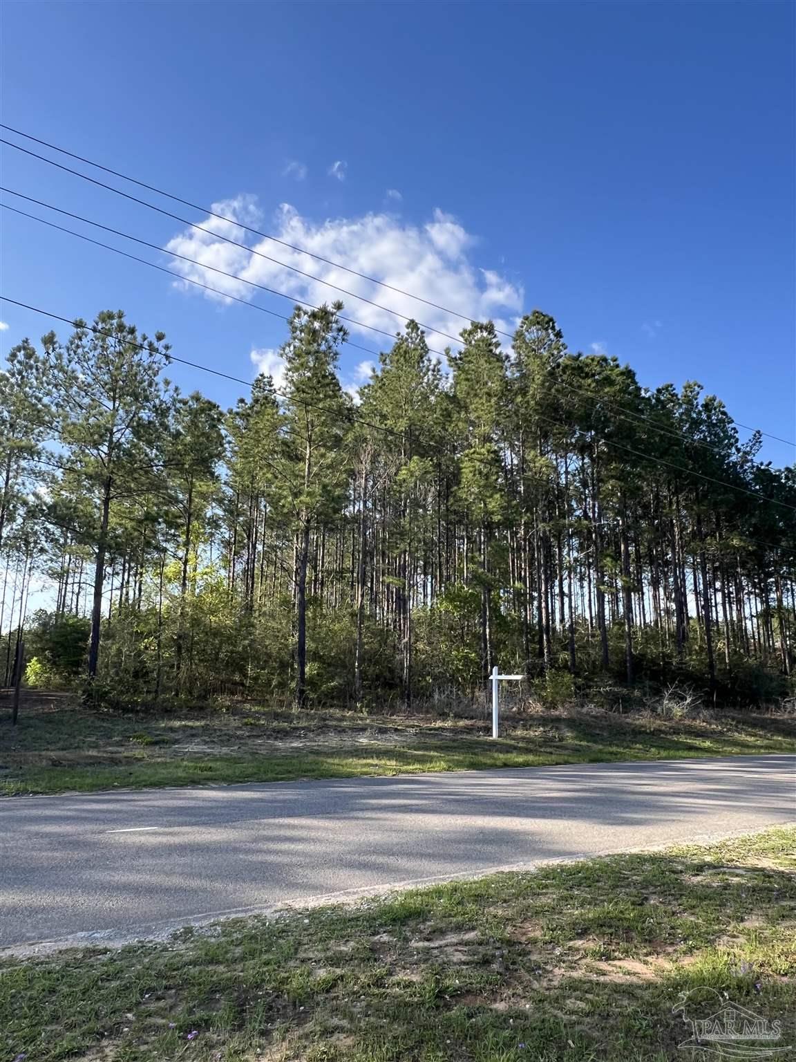 0 10 Ten Mile Road Pace, FL 32571 - Photo 2 of 23