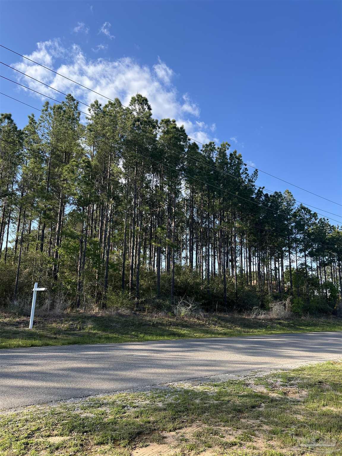 0 10 Ten Mile Road Pace, FL 32571 - Photo 3 of 23