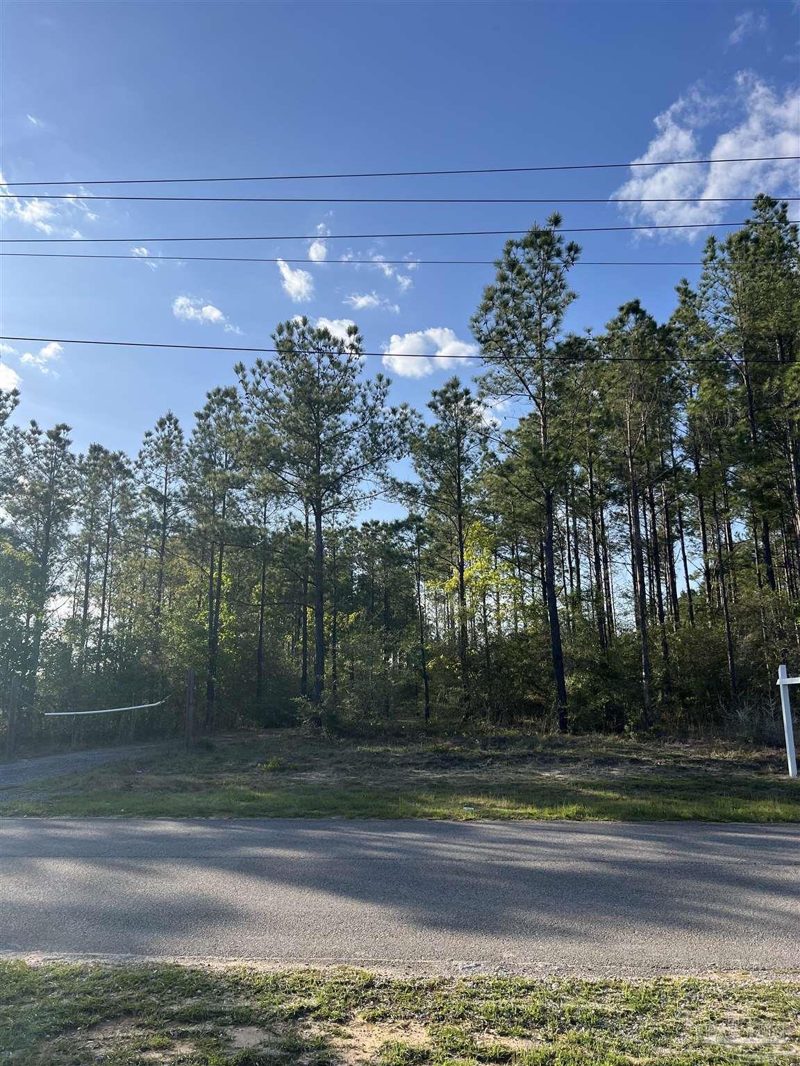 0 10 Ten Mile Road Pace, FL 32571 - Photo 4 of 23