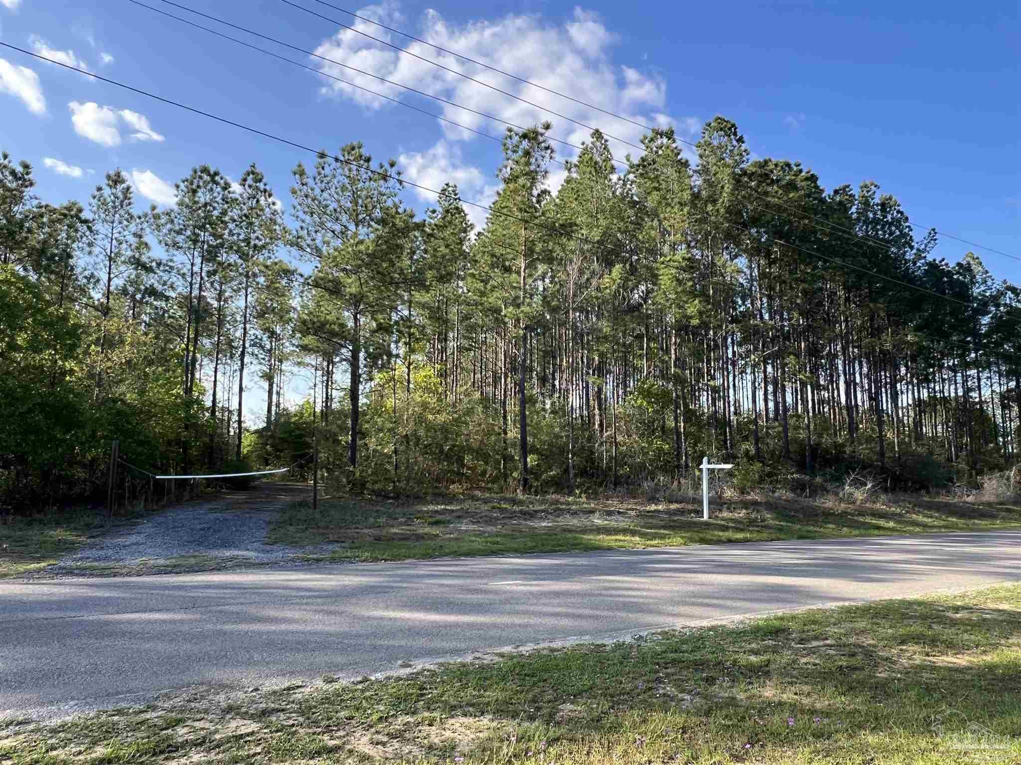 0 10 Ten Mile Road Pace, FL 32571 - Photo 5 of 23