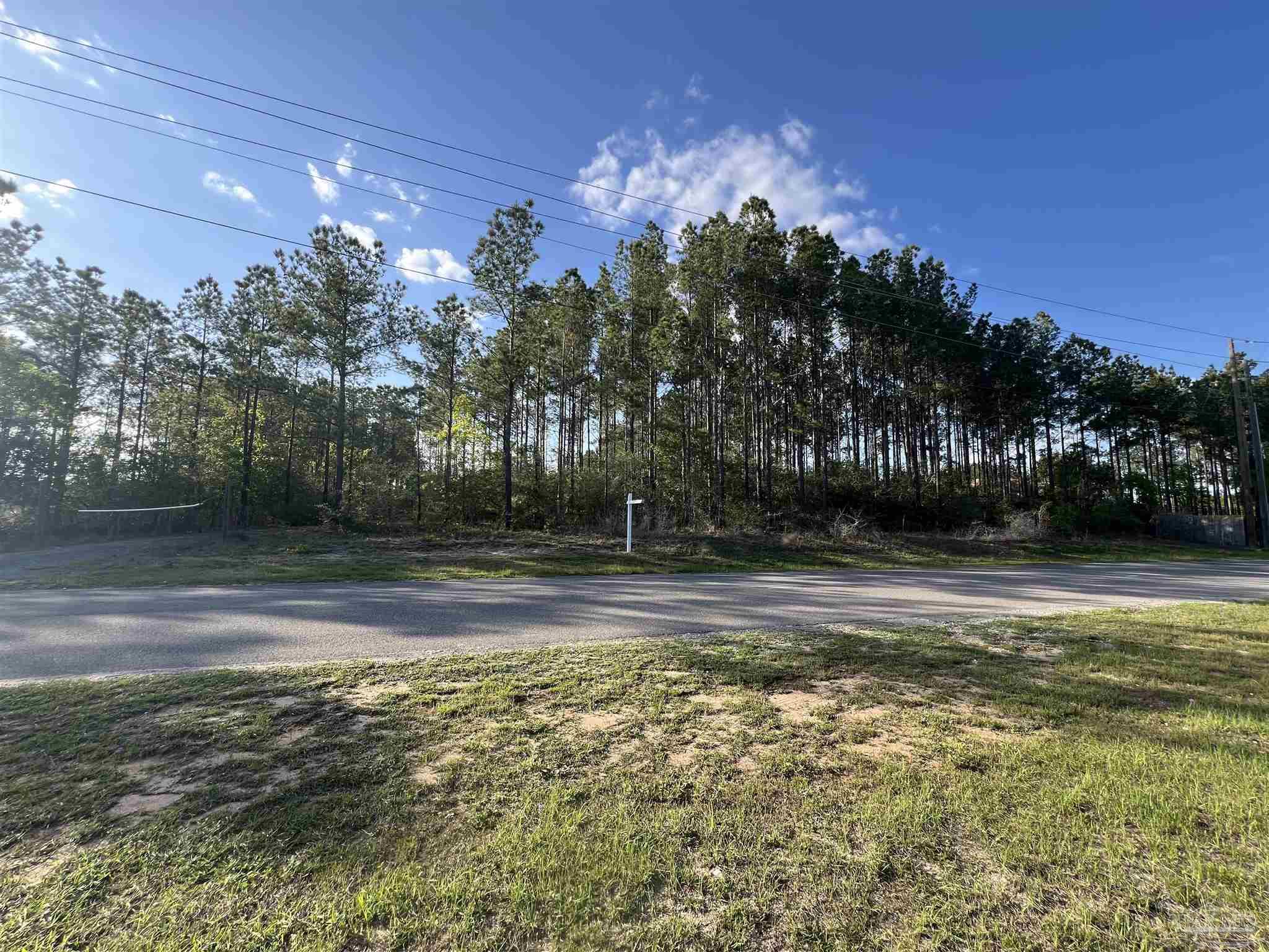 0 10 Ten Mile Road Pace, FL 32571 - Photo 6 of 23