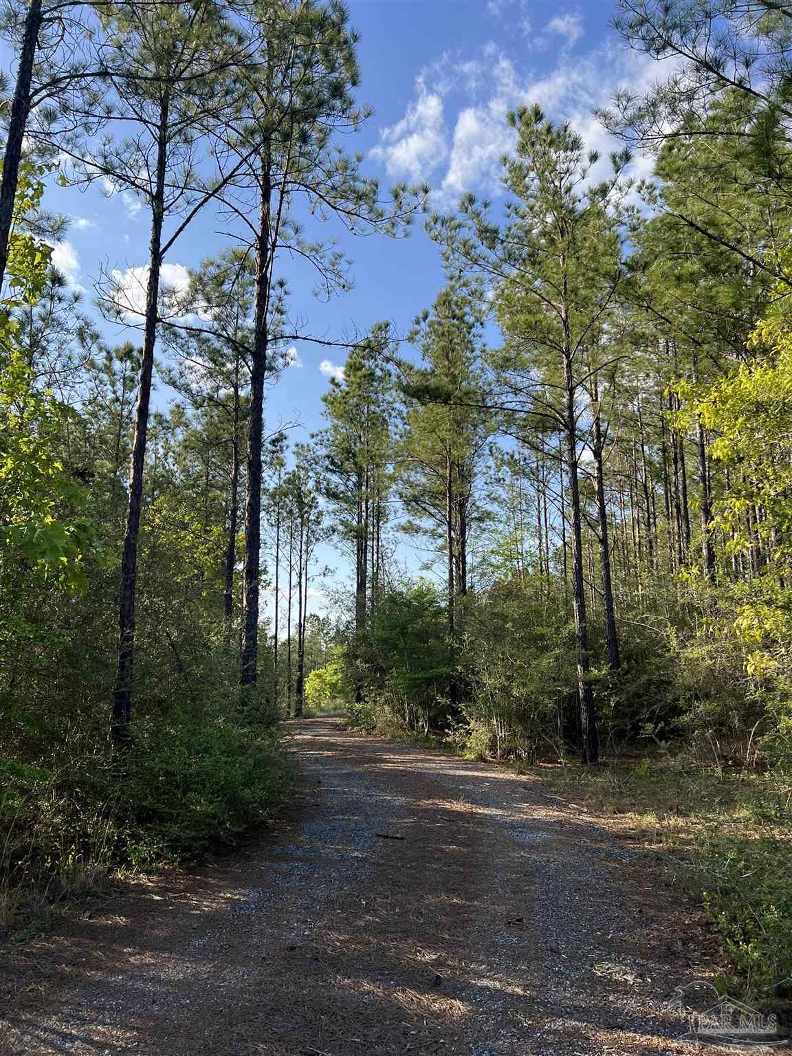 0 10 Ten Mile Road Pace, FL 32571 - Photo 8 of 23