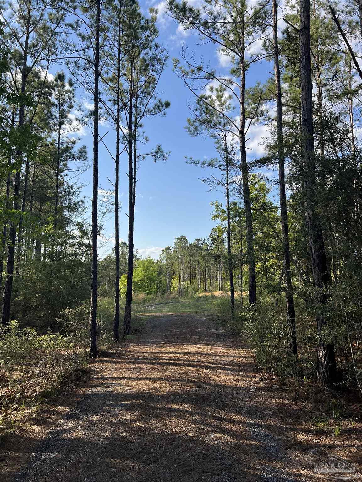 0 10 Ten Mile Road Pace, FL 32571 - Photo 9 of 23