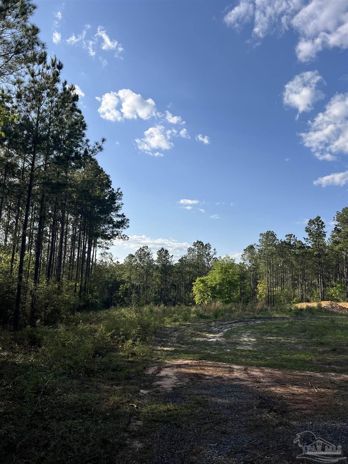 0 10 Ten Mile Road Pace, FL 32571 - Photo 10 of 23