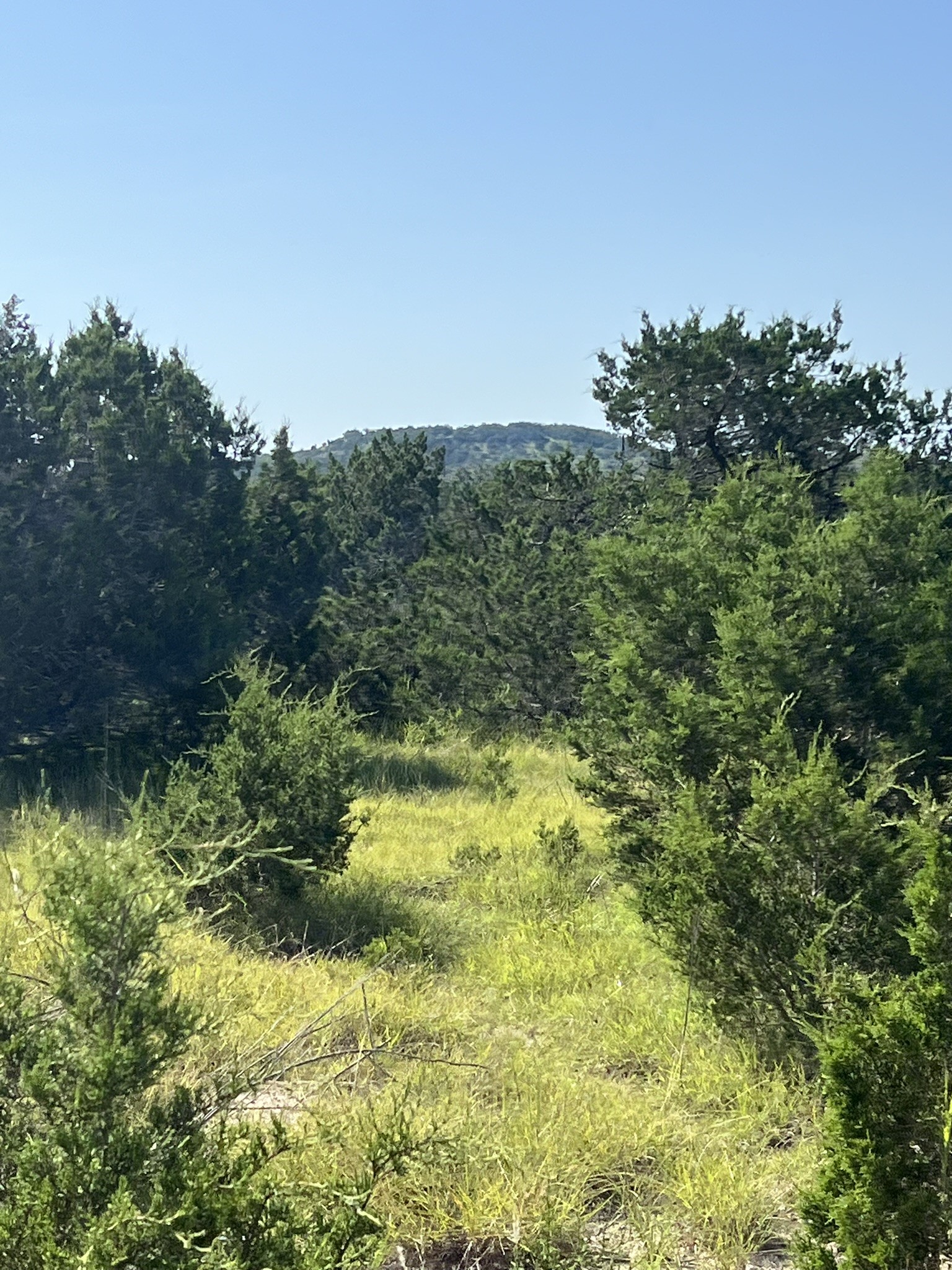 932 High Country Road Blanco, TX 78606 - Photo 18 of 23