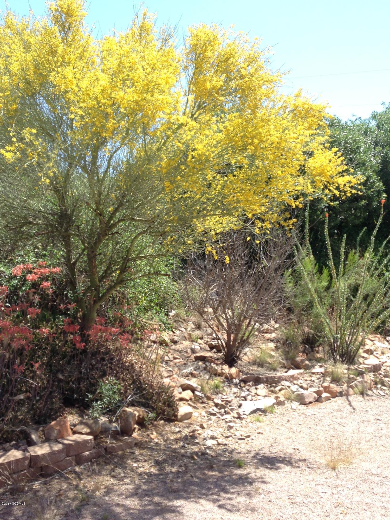 208 Camino Oceano Rio Rico, AZ 85648 - Photo 30 of 34